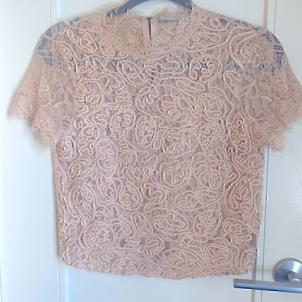Zara Pink Detailed “Rose Inspired” Blouse Size Small Women’s
